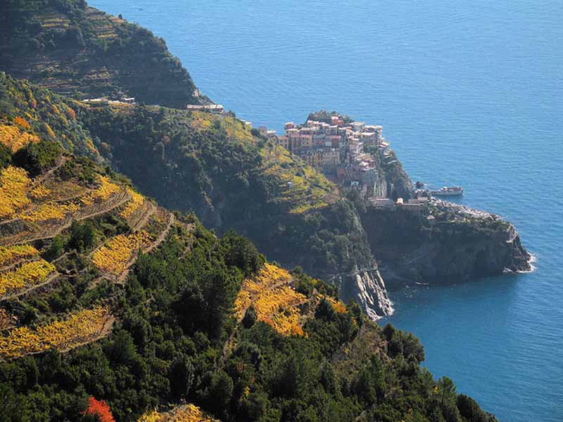Cinque Terre Terraced Vineyards Cinque Terre Terraced Vineyards