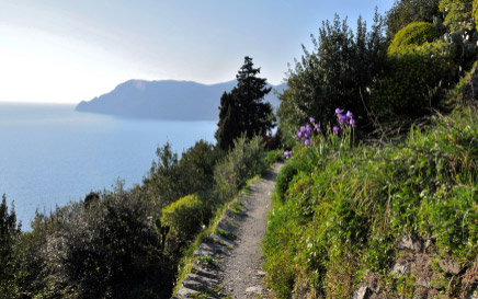 Cinque Terre Hiking