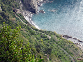 Ligurian food